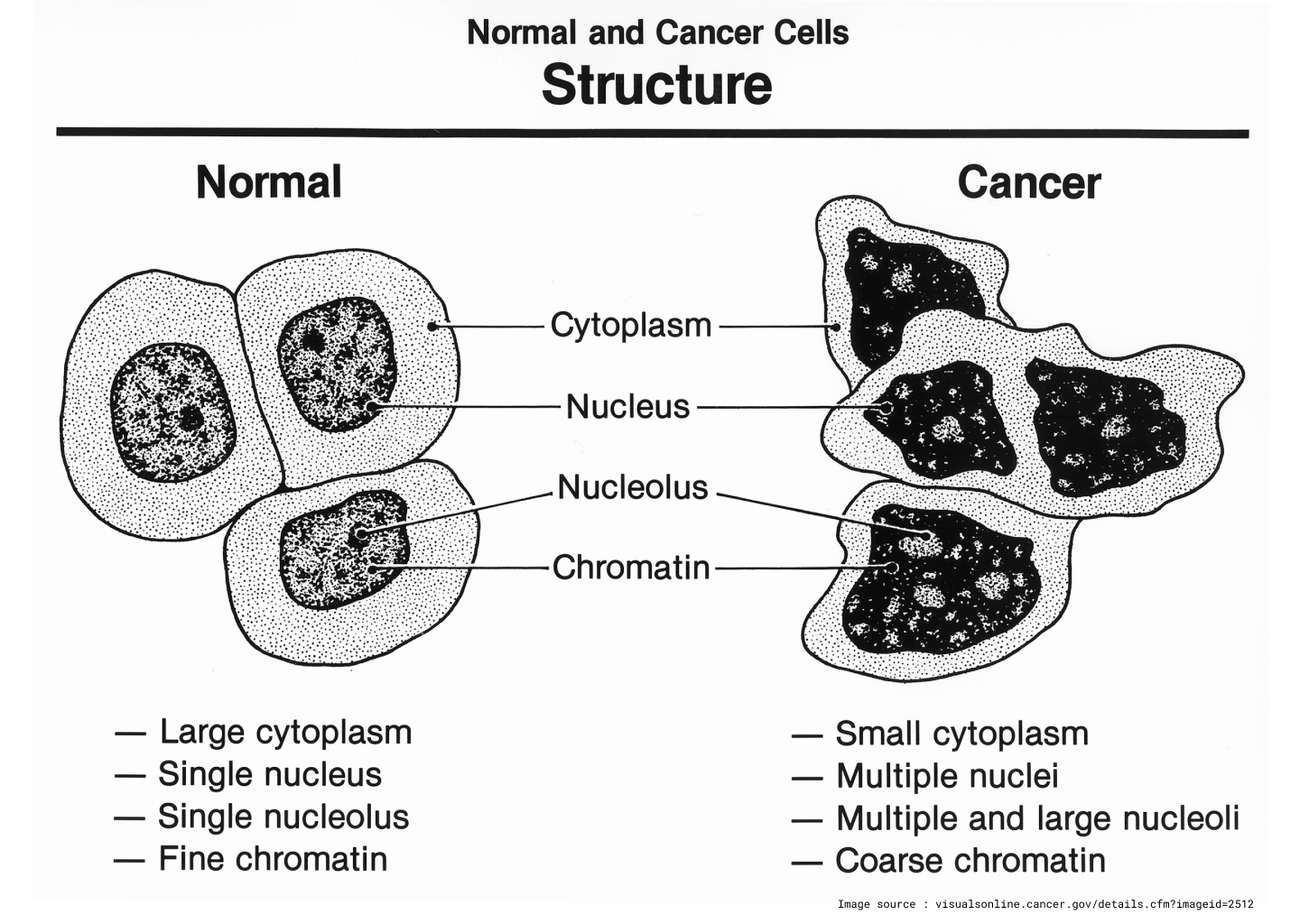 Solusi Sel Abnormal
